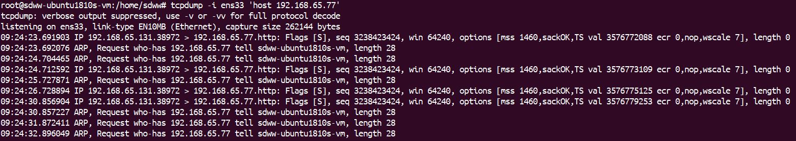 lvs-server-tcpdump-77